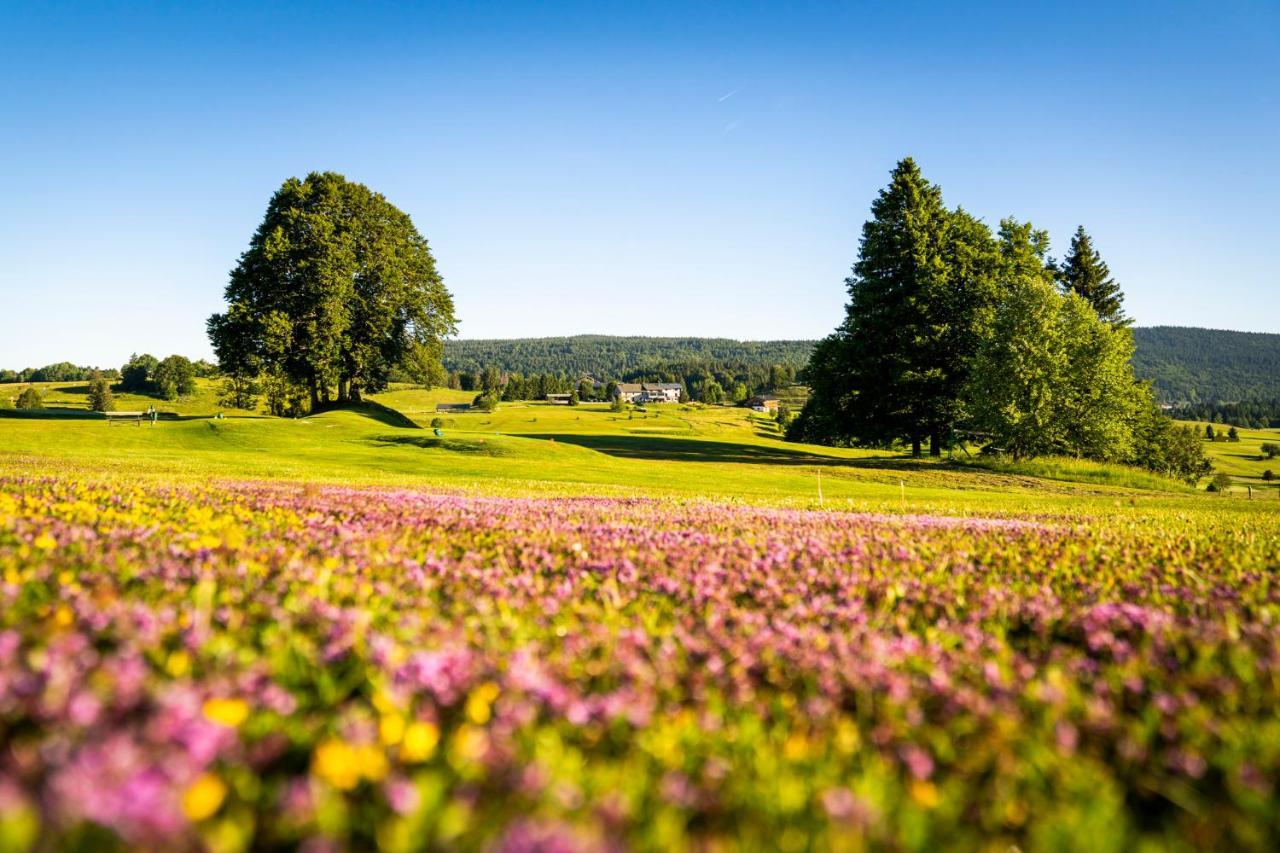Отель Domaine Du Mont-Saint-Jean Ле-Русс Экстерьер фото